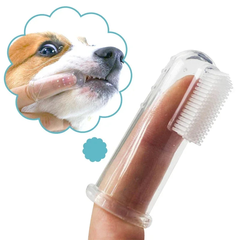 Brosse à dents pour animaux